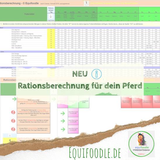 equifoodle Excel Rationsberechnung Download Screen 