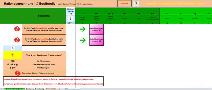 equifoodle Screen Excel Rationsberechnung Pferdenummer 