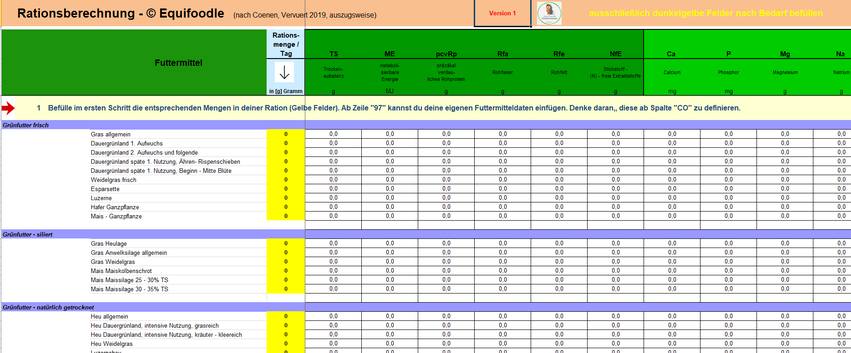 equifoodle Screen Excel Rationsberechnung